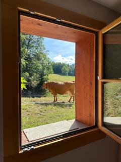 PetitChevrier - 6BR Spacious Chalet in Villars - Designed for Accessibility - Ollon - 3