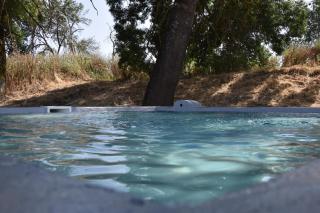 Herdade Joana Dias by PortusAlacer - Arronches - 3