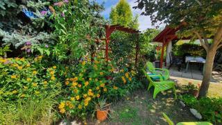 Apartment in Siofok - Balaton 20047 - 2