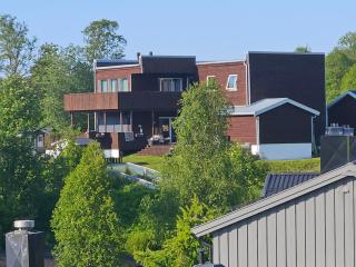 LØVEHAUGEn - Lii - 7