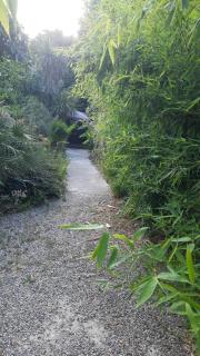Le Cycas de la Palmeraie - Istres - 4
