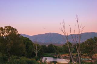 Riverhide - Bonnievale - 9