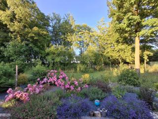 Gîte Nature et détente - 1