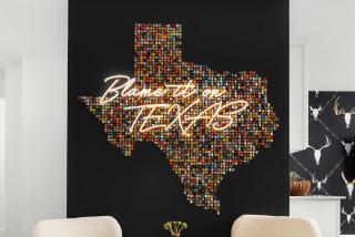 Heated Pool, Game Room, Outdoor Movies, Mins to Downtown, Sleeps 14 - Austin - 0