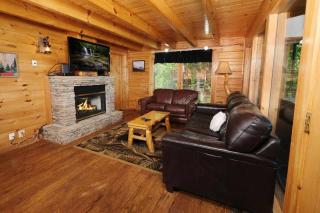 Chubbee Bear by Avada Properties - Sevierville - 3