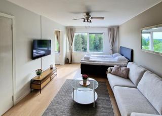 Cozy top-floor studio near the travel center and downtown, with AC and Wi-Fi - Lappeenranta - 9
