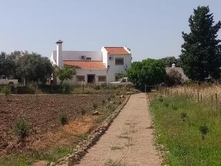 Herdade Joana Dias by PortusAlacer - Arronches - 9