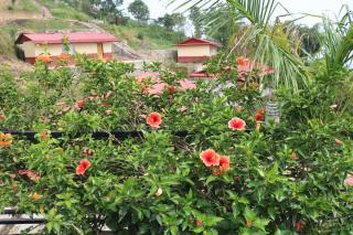 Hotel Gadhi View & Resort - - 4