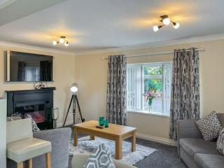 Pine Lodge - Tansley - 9