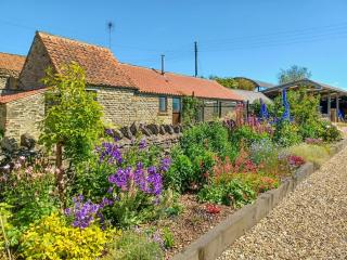 Swallowdale Cottage - Levisham - 0