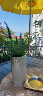 Vila Visni - Ohrid - 7