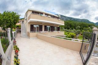 Apartments Vila Masha - Petrovac na Moru - 6