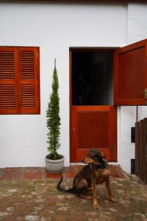 The Little Gallery - Villiersdorp - 1