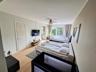 Cozy top-floor studio near the travel center and downtown, with AC and Wi-Fi - Lappeenranta - 1