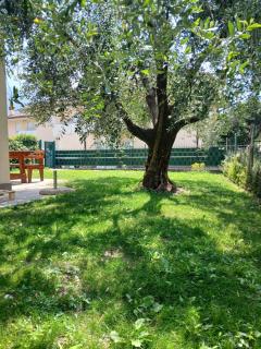 Casa ai due Ulivi - Nago-Torbole - 6