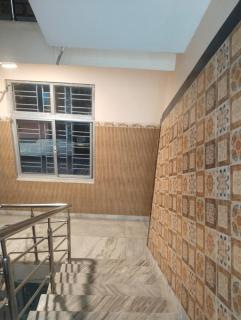 New Moyna Lodge - 1