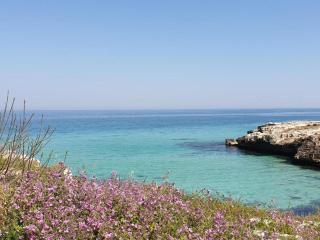 Masi suite - Monopoli - 3