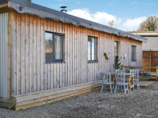 Full Pint - Uk46616 - Tain - 0