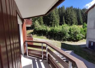 Le May'Hé - Studio cabine et balcon - Prapoutel les 7 Laux - Les Adrets - 7