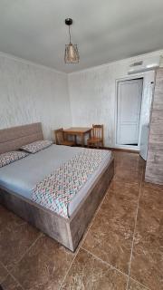 Gocha guest house - 8
