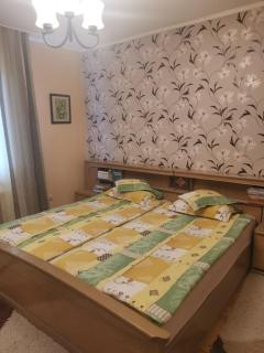 Sólyom Katalin vendégház - Suseni - 6