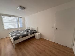 Čenětická Apartment - Praga - 1