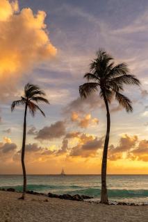 Aruba Private Studios - 6