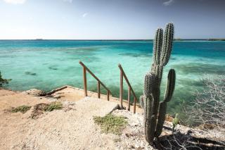 Aruba Private Studios - Oranjestad - 4