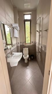 Villa Mandarina - Batumi - 6