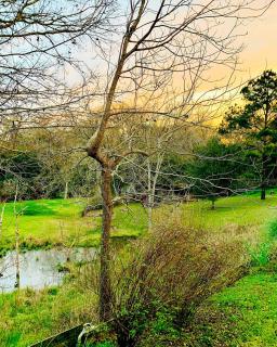 Circa 1900 - Historic - Romantic - Private - Pond - Fenced Yard - The Cottage at Chappell Hill - Chappell Hill - 4