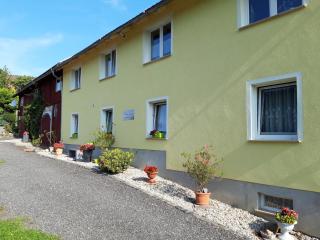 Roomy Apartment in Lichtenhain with Pond - Lichtenhain - 5