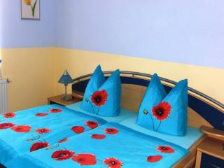 Roomy Apartment in Lichtenhain with Pond - Lichtenhain - 6