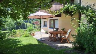 Apartmenthaus Thussn, cozy & quiet location, hiking & MTB, - Kirchberg in Tirol - 5