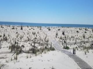 Ocean Front 1St Floor Duplex With Expansive Views In Brant Beach With Private Beach Access 12094 - Brant Beach - 4