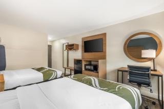 Quality Inn Chesapeake - Chesapeake - 1