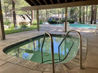 Horizons 4 179 - Mammoth Lakes - 9
