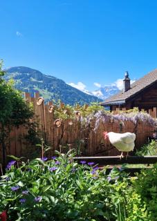 Chalet le Muveran - Gryon - 9