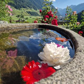 klein&fein - Neustift im Stubaital - 8