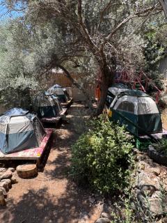 Lilith Pan Camping - Fethiye - 7