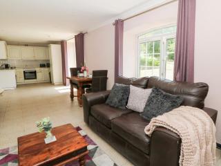 Garden apartment - Llandysul - 7
