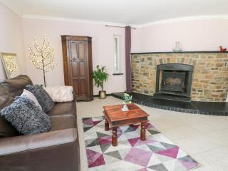 Garden apartment - Llandysul - 6