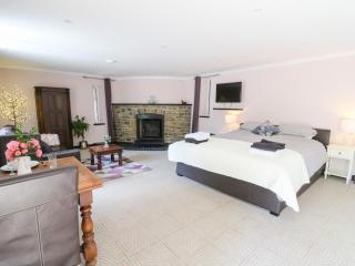 Garden apartment - Llandysul - 3