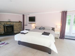 Garden apartment - Llandysul - 2