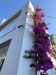 Anna and Jimmy's - 6