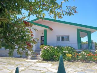 Villa Vitória - Nazaré - 0