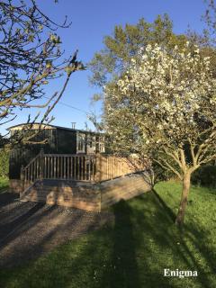Elgars Shepherds Huts - Moffat - 0