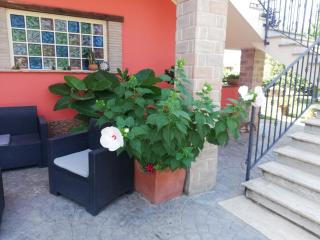 Casa vacanze Tenuta Camilli - Anzio - 1