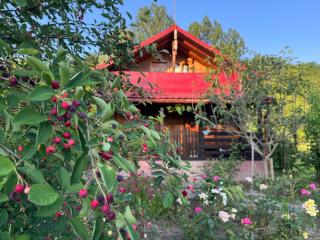 Cabana Livada Merilor - 2