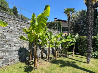 Casa Panorama - Brissago - 4