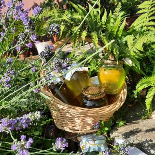 Cabana Livada Merilor - 4